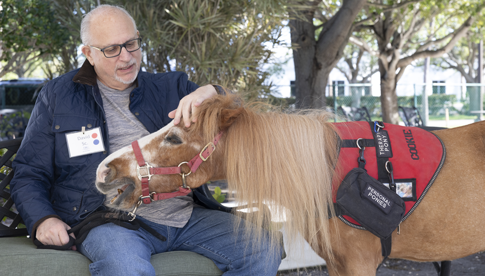 A man sitting on a bench petting a small horse.